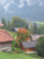 Scenics 31