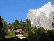 Scenics 32